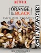 Orange Is the New Black Season 2 (2014) Hindi Dubbed Season 2 Complete Show