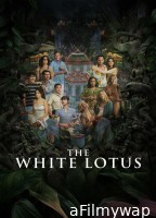 The White Lotus (2025) Season 3 EP06 Hindi Dubbed Web Series